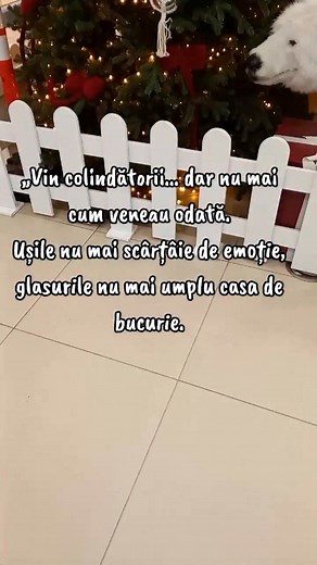 Vin colindătorii… dar nu mai cum veneau odată. Ușile nu mai scârțâie de emoție, glasurile nu mai umplu casa de bucurie. Parcă tradițiile au rămas în urmă, iar magia… se simte doar în amintiri. | Ioana Cojocari