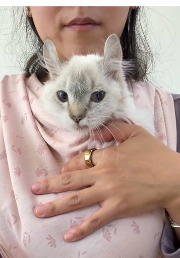Fifi and BabyBjörn: A Unique Partnership