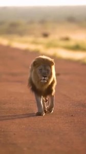 59K views · 1.1K reactions | RECUERDA ️ | Maria Elena Medianero - Abogada - | Facebook