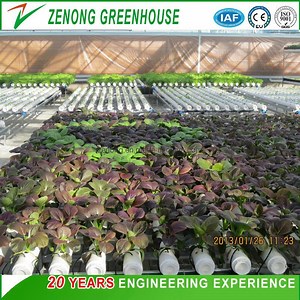 [Hot Item] Vertical Dwc Hydroponic Channel System in Greenhouse and Farm Nft Channels for Hydroponics Growing