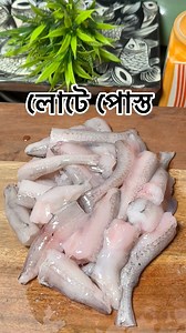 709K views · 5.4K reactions | লোটে পোস্ত ।।। #reelsvideoシ #viralreelsシ #viralreelschallenge #imotionalreels #spacial #wintervibes #fish #lote #bengalifood | Falguni Dutta Biswas | Facebook