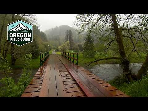 Meet Oregon’s oldest intentional community, Alpha Farm | Oregon Field Guide from the Archives
