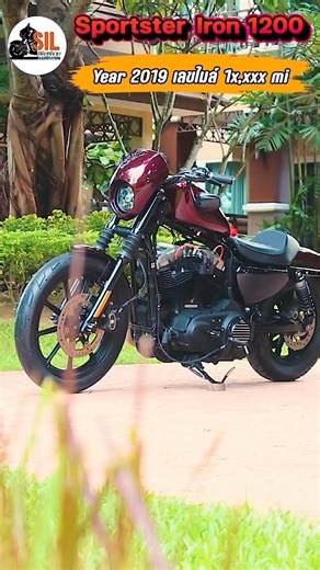 Harley-Davidson Sportster Iron 1200 2019 - ปี 2019 - สี Twisted Cherry - เครื่องยนต์ Engine Air-Cooled, Evolution - ขนาดเครื่องยนต์ 1200 cc (73 cubic inches) - เลขไมล์ 1x,xxx mi: รายการของแต่ง :- ท่อ PitBull CYCLE- กรองอากาศ Figure Machine - ครอบไมล์แต่ง- ไฟหน้า LED - ยกถังย้ายคอยด์- ไฟเลี้ยวหน้าแต่ง- เพลาล้อแต่ง- สายหัวเทียนแต่ง- ขาเกียร์แต่ง-ขาเบรคแต่ง- ปลอกแฮนต์แต่ง- ฝาครอบ PRIMARY💰ขาย 488,000.-สำหรับจัดไฟแนนซ์ ⭐️ดาวน์ 20% 48 งวด = 8,538.60 บาท60 งวด = 7,400.12 บาท📍 สอบถาม / นัดเข้ามาดูรถเบ