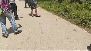 8.3K views · 44 reactions | Breaking News Situasi saat ini di kab.Lanny Jaya, Provinsi Papua Pegunungan masa Bacalon no 02 lawan 1&3. Jadi info selanjut akan menjusul, Tiom Kamis 12 Desember 2024 #reel #fyp #papua #alampapua #fyp | Kuligay Viral Papua | Facebook