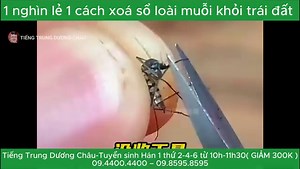 1.9M views · 60K reactions | Tiếng Trung Dương Châu on Reels | Facebook