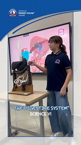 "The digestive system" SCIENCE VI 𝗦𝗵𝗸𝗼𝗹𝗹𝗮 "𝗘𝗿𝗻𝗲𝘀𝘁 𝗞𝗼𝗹𝗶𝗾𝗶" ■ Parashkollori ■ Shkolla 9 vjeçare ■ Gjimnazi ■ GCSE/A-LEVEL ▪Dije dhe përgjegjshmëri▪ ___________________________ #shkollaernestkoliqi #gjimnazi #shkollafillore #parashkollori #ciklifillor #cikliiulet #shkollaemesme #gjimnaziernestkoliqi #shkollameemire #maturashteterore #provimetelirimit #gcsealbania #gcse #igcsealbania #alevel #alevelalbania #igcse #igcsealbania #highschool #preschool #Internationalschool #cambridge