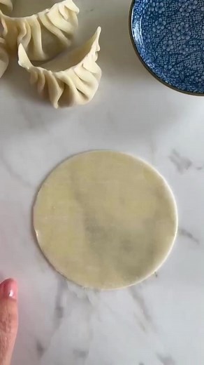 How to fold Gyoza when you get your hands on SkinnyAsia! #thermomix #dumpling #Japanesefood #skinnymixers | Nikalene Riddle