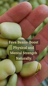 Fava Beans: Boost Physical and Mental Strength Naturally | All about health and nutrition