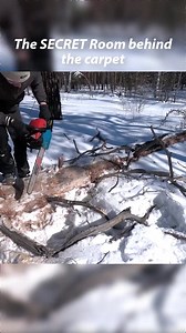 27K views · 358 reactions | The SECRET Room behind the carpet | Wild Survival | Facebook