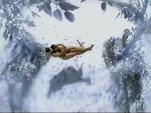 Lever 2000 Invisible Commercial