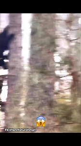 2.1M views · 19K reactions | Amazing dog #irfannfaturohman #irfanseggagadventure #porbiindonesia #beaglehunting #hunting #doglife #berburu | Irfan Faturohman | Facebook