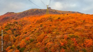 ロープウェイから撮影した山肌の紅葉