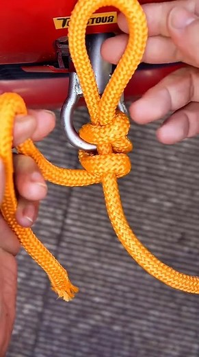 Nice! #vihecle #knot | The Poster Vault