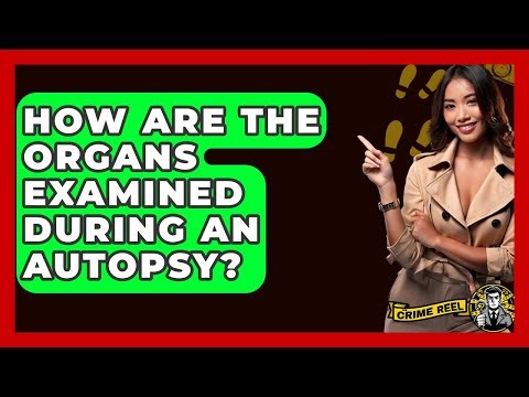 How Are The Organs Examined During An Autopsy? - The Crime Reel