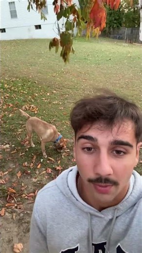 #tradingnest #trading #tradesetup #daytrading #tradinglife #stocktrading