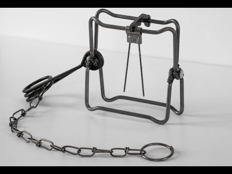 How to Set #110 Bodygrip Trap