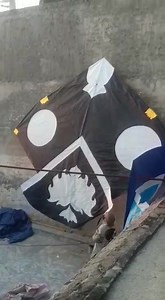 1.2K views · 51 reactions | °•○ 50 Tawa°•○ | Islamabad kite club official. | Facebook