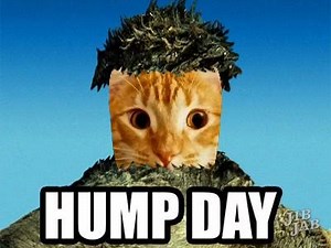 Jordan and Jewels on Reels