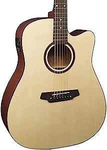 Carlo Robelli G600CE Dreadnought Acoustic Electric Guitar Package