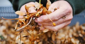 Comptoir forestier à Aye