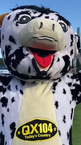 Karly’s first first pitch wasn’t terrible and the Winnipeg Goldeyes Baseball Club got their fifth consecutive win! Country Night was a success! 🤠⚾️🐮 #BrodyandKarly #MorningsAreBetterWithFriends | QX 104