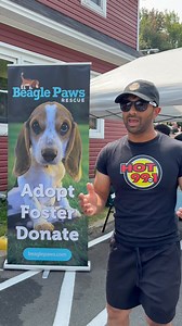 HOT ON THE SPOT @ Beagle Paws Rescue Watch for more info, 50/50 draw and tickets to a Collingwood Spirits and Wines $500 prize pack! To get involved with Beagle Paws go to beaglepaws.com for more info! STAY HOT! #summerfunfinder2025 | HOT 99.1 FM