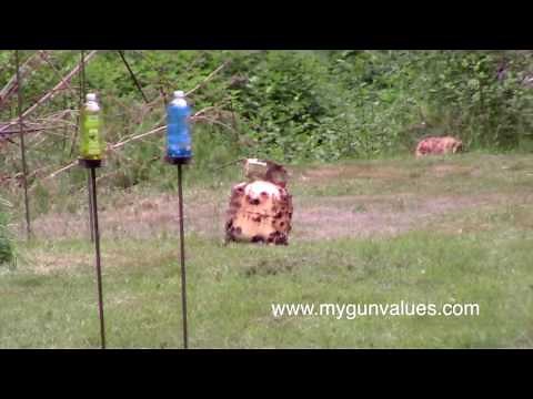 Taurus Thunderbolt Rifle