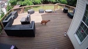 CCTV captures sonic boom from US fighter jets