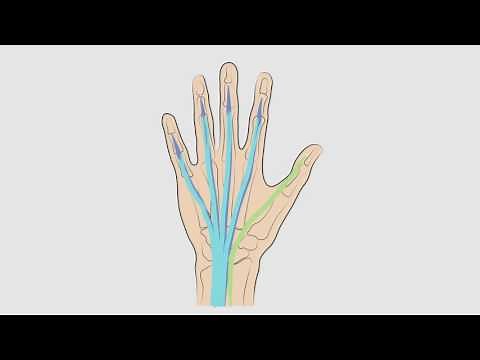 Examination of the Hand