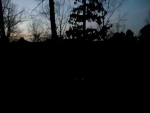 Flash of Kel-Tec PLR-16