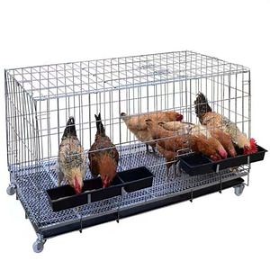 [Hot Item] High-Density Farming Battery Cages for Laying Hens with Rabbit Cage From Anti-Corrosion Galvanized Steel