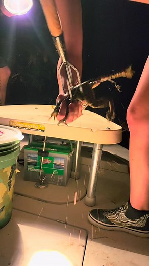 #gigging #frog #frogs #frogging #Florida #fishlikeagirl #MissLouisiana #hso #southerngirlsdoitbetter | Heather Smith Outdoors