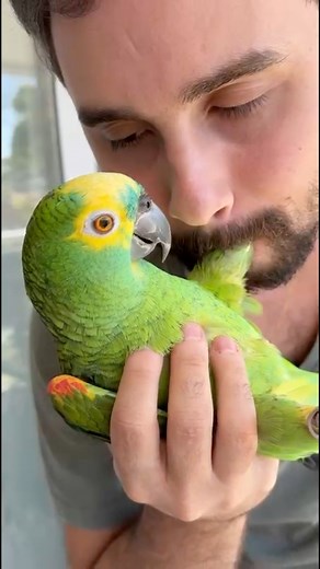 372K views · 13K reactions | Quando o “bebê de penas” confia 100%....