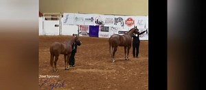 2K views · 67 reactions | I think Amy said it best in her interview...