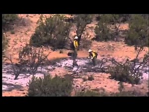 Crews tackle three wildfires throughout NM