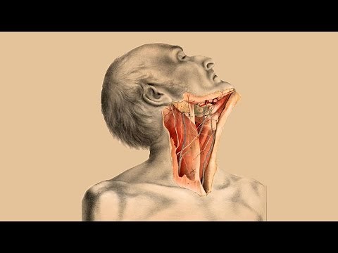 Stroke in the Elderly: Slowly Retreating - Professor Chris Whitty