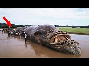 This New Terrifying Discovery in the Amazon Jungle SCARED SCIENTISTS!