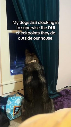 never been late to his shift either 🙂‍↔️