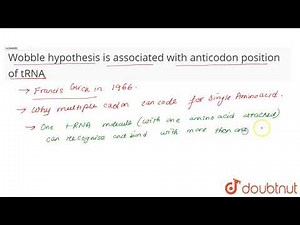 Wobble hypothesis is associated with anticodon position of tRNA
