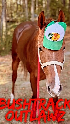 1.7K views · 30 reactions | Ooooweeeee them boys in the Lab. July 28 July 28. It’s going down at the Wood. | Brandon Hunt | Facebook