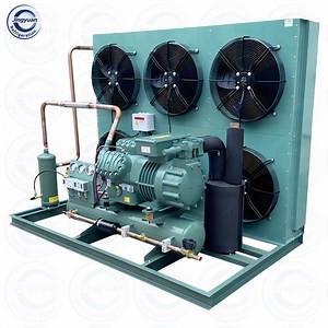 [Hot Item] 20HP Refrigeration Compressor Condensing Unit for Walk-in Freezer Cold Storage Room