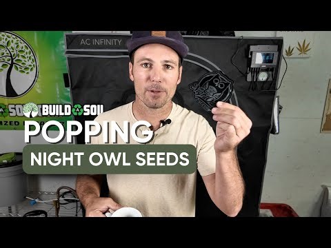 BuildASoil: Night Owl Seeds // EarthBox Setup // Germination Guide