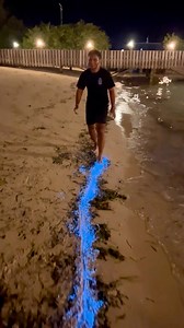 18K views · 89 reactions | Bioluminescent plankton glow on beach  | Chocolates Lovers | Facebook