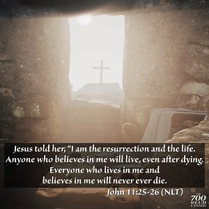 2.2K views · 70 reactions | 700 Club Canada on Reels | Facebook