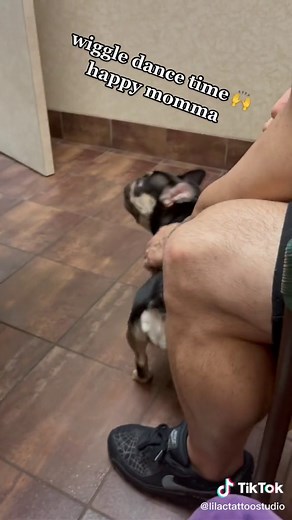 Ellenor's Sonogram: Expecting French Bulldog Puppies!