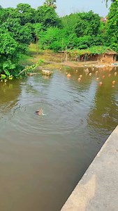 Support kijiye dosto #viralreels #trending #reels #trendingreels #shortsvideo #viralvideo #shortvideo | Prabhat Kp