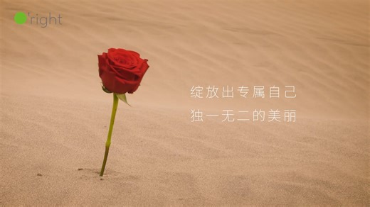 欧莱德_旷野玫瑰系列