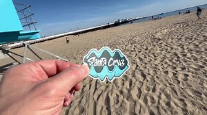 Santa Cruz Clam Sticker, Teal Matte Vinyl - Etsy UK