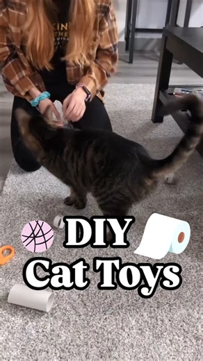 23 reactions | With #EarthDay coming up @lynneaneuland has some ideas for you & your furballs that won't break the bank & will help the planet while you're at it!  #diycattoys #easytoy #cats #happyearthday #budgetfriendly #virginradiocalgary #yyc | Virgin Radio Calgary | Facebook