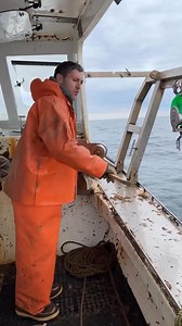 Balloons in the ocean! #nature #ocean #waste | Nature Is Angry